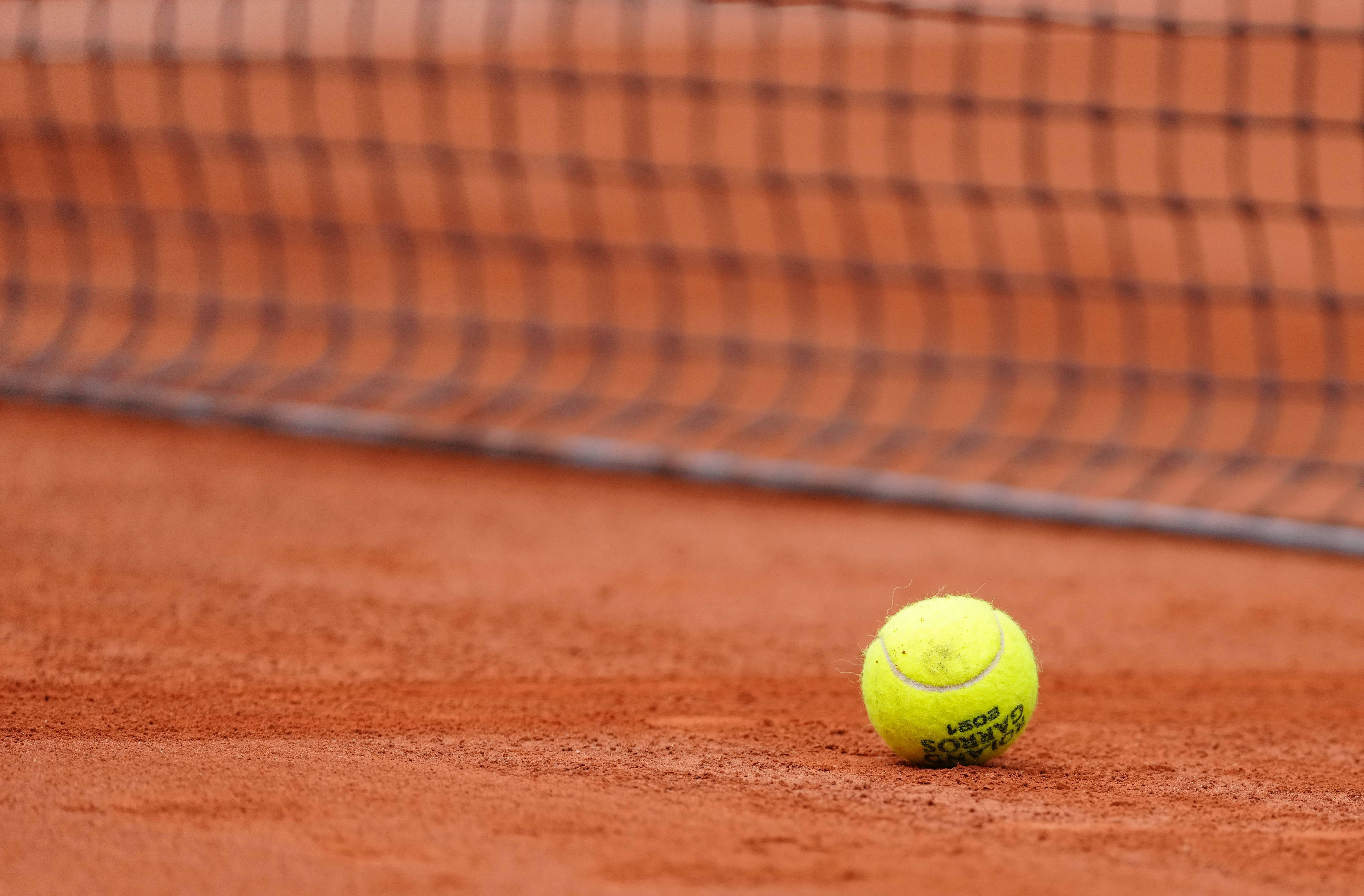 在荷兰国家 在荷兰国家